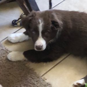 Meet your Posher, Beth